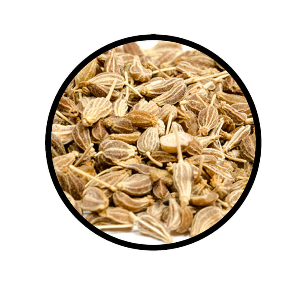Nahaufnahme der getrockneten Struktur von Anis Samen ganz von STAY SPICED! bei Chefkoch-Gewürze