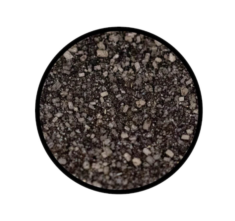 Black Dust BBQ Rub - Detaillierte Nahaufnahme der Textur / Struktur