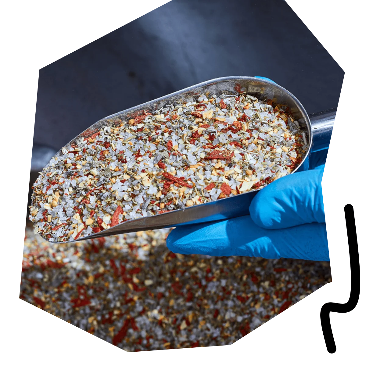 Eine Schaufel mit reiner, naturbelassener Premium-Gewürzmischung für höchste Qualität bei chifkochgewuerze.com