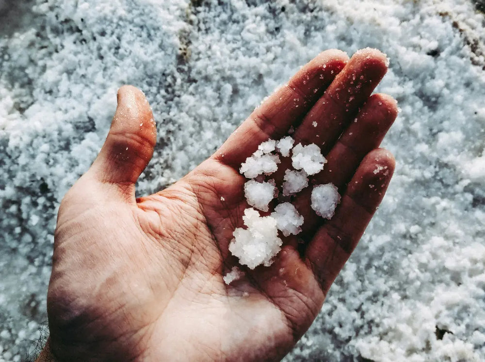 Grosse und von Hand geerntete Fleur de Sel Salzkristalle online kaufen bei chefkoch-gewürze Schweiz