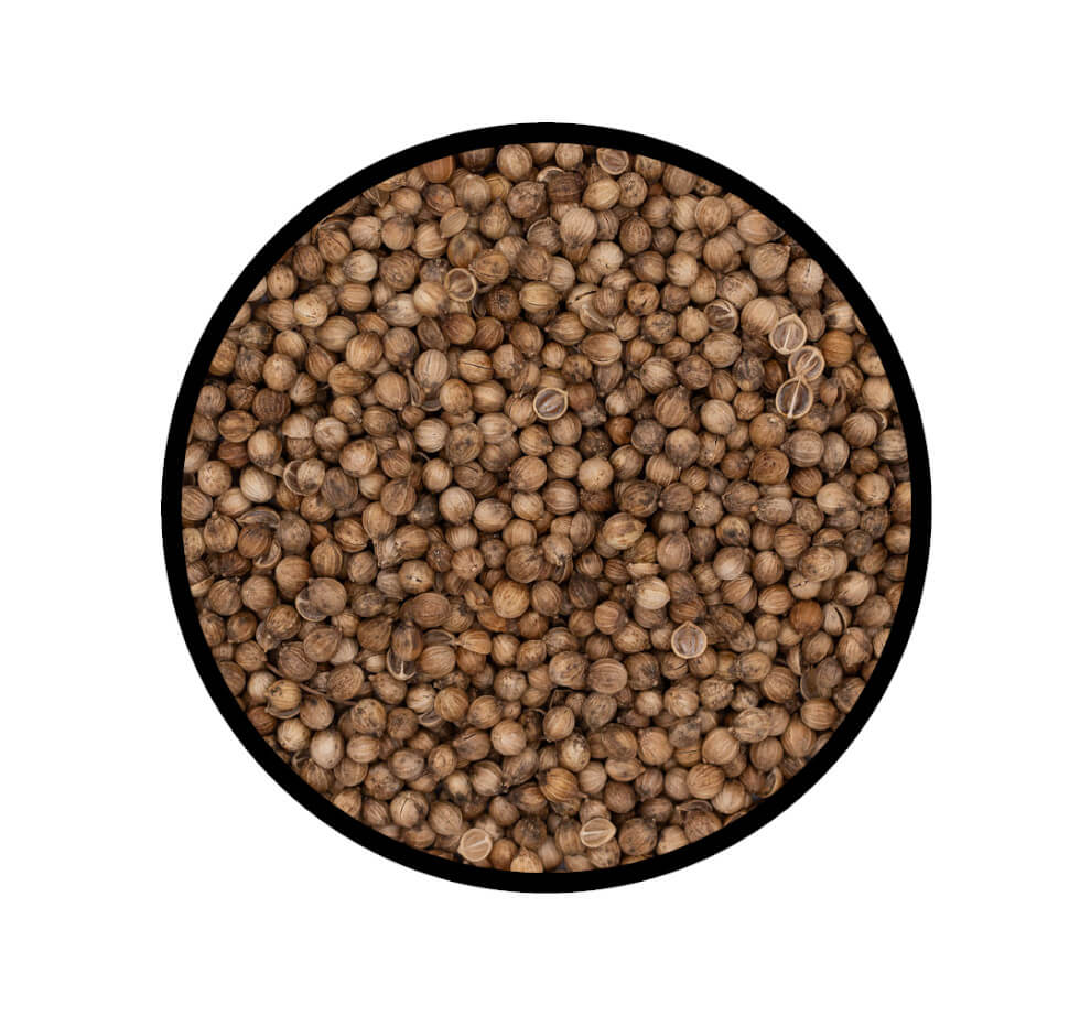 Nahaufnahme der getrockneten Samen von Koriander ganz von STAY SPICED! bei Chefkoch-Gewürze