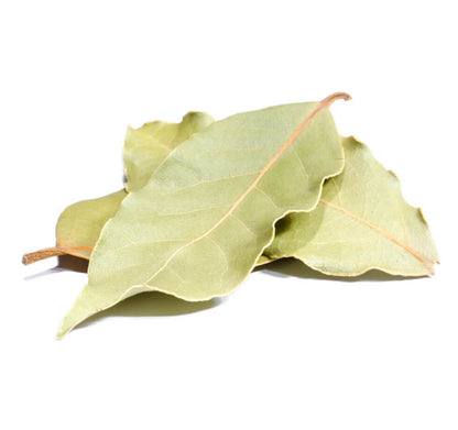 Lorbeerblätter ganz als loses Gewürz - ideal für Sülzen und Eintöpfe