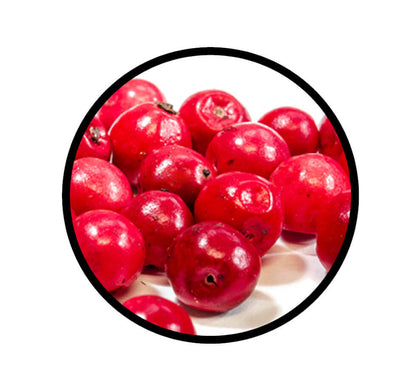 Rosa Beeren ganz - Detaillierte Nahaufnahme der Textur / Struktur