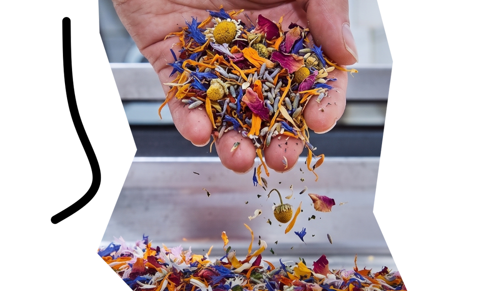 Handverlesene natürliche Blüten und Kräuter für STAY SPICED! Premium-Gewürzmischungen